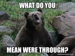 Sarcastic Bear