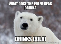 Popular Opinion Polar Bear