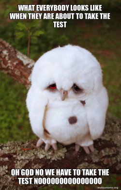 Sad Owl