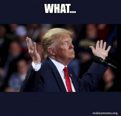 Trump Impeached