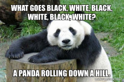 Confession Panda