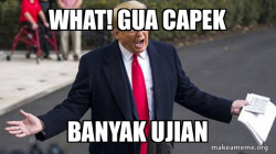 Trump - Impeachment Quid Pro Quo