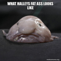 Blobfish