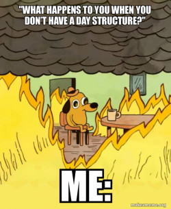 This Is Fine