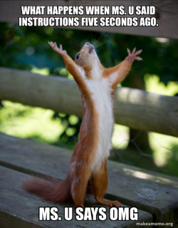 Happy Squirrel