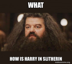 Hagrid - I should not have said that