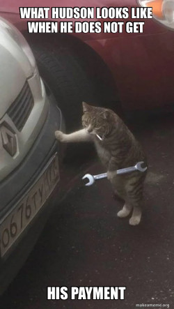 Mechanic Cat