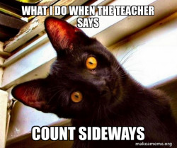Overly Attached Cat