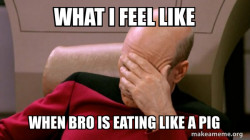 Picard Facepalm