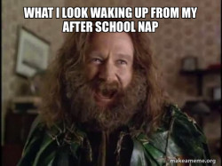 Robin Williams - What year is it? Jumanji