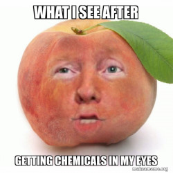 Impeached Donald Trump
