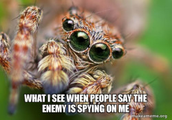 Hipster Spider