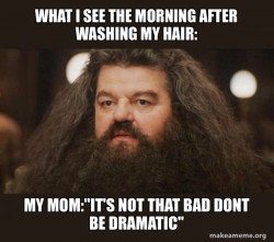 Hagrid - I should not have said that