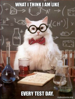 Chemistry Cat