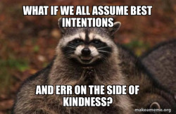 Evil Plotting Raccoon