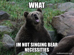 Sarcastic Bear