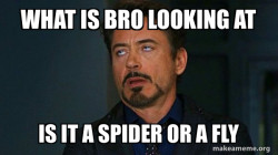 Tony Stark Eye Roll
