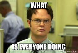 Schrute Facts (Dwight Schrute from The Office)