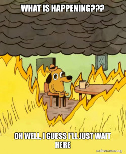 This Is Fine