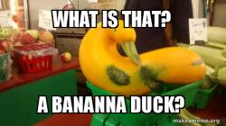 Gourd Advice Mallard