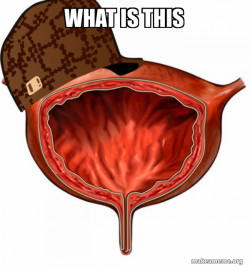 Scumbag Bladder