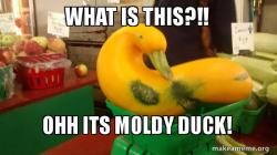 Gourd Advice Mallard