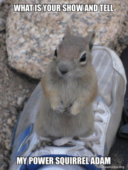Standover Squirrel