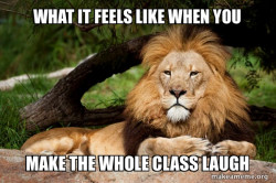 Contemplative Lion