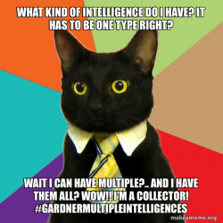 Business Cat