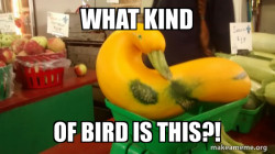 Gourd Advice Mallard