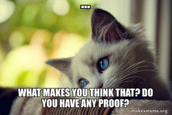 First World Cat Problems
