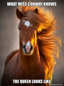 Ridiculously photogenic horse