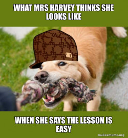 Scumbag dog