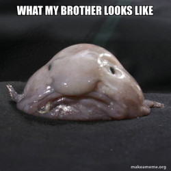 Blobfish