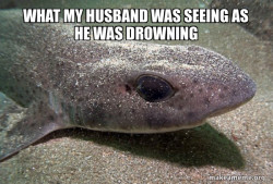 Dirty Joke Dogfish