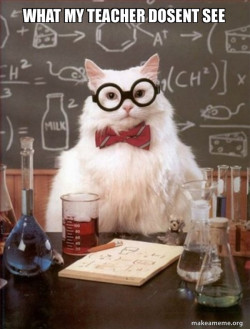 Chemistry Cat