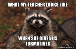 Evil Plotting Raccoon