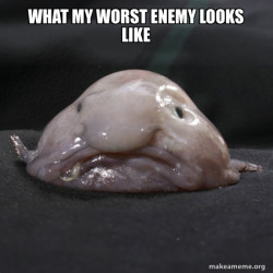 Blobfish