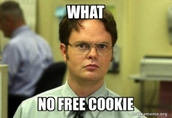Schrute Facts (Dwight Schrute from The Office)