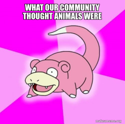 Slowpoke the Pokemon