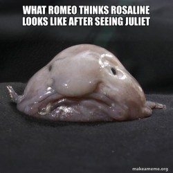 Blobfish