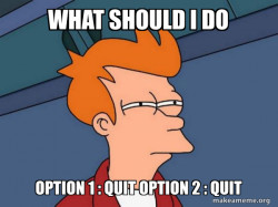 Futurama Fry