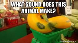 Gourd Advice Mallard