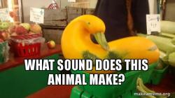 Gourd Advice Mallard