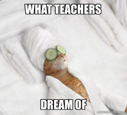 Pampered Cat Meme
