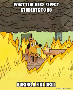 This Is Fine