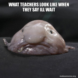 Blobfish
