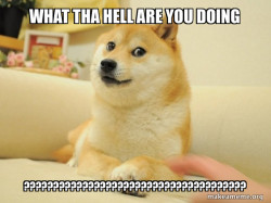 Doge