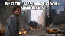 Shmuel rip