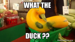 Gourd Advice Mallard